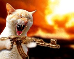 http://ufasait.ucoz.ru/_ld/0/54_1SE.gif
