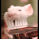 http://ufasait.ucoz.ru/_ld/0/95_fwE.gif